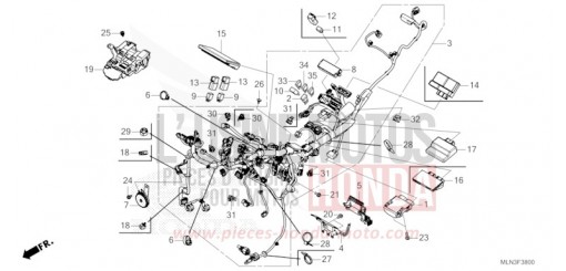 FAISCEAU DES FILS CRF1100AR de 2024